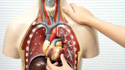 No symptoms, real risk: Subtle signs of organ stress most people ignore and how to prevent damage