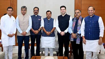 Raghav Chadha, 6 MPs exit AAP: How numbers changed in Rajya Sabha