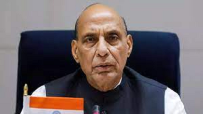 'It is possible': Rajnath says India may 'play its role' in bringing peace in West Asia
