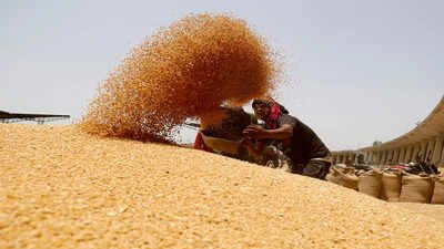 India's wheat outlook: Production stable despite challenges, says government