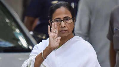 'Forcefully rigging elections': Mamata's big charge against BJP as Bengal votes in phase 2 polls