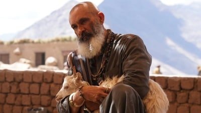 Bimal Oberoi embraces Shirani's popularity amid memes and humor in Dhurandhar 2.