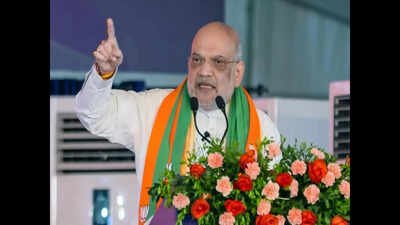 Will drop 'false' cases against Gorkha netas, says Amit Shah