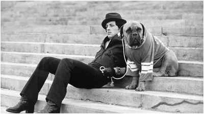 Before Rocky’s success, Sylvester Stallone sold his dog for $40 for survival: ‘We were both hungry, and living in a flophouse’