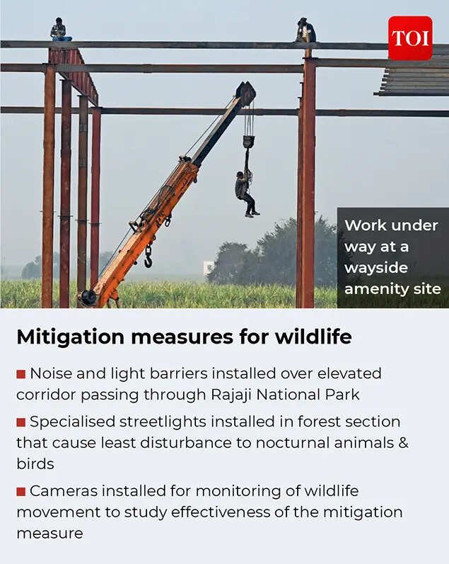 Delhi-Dehradun Expressway: Measures for wildlife