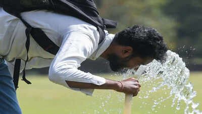 'Stay indoors': IMD's dos & don'ts to beat the heat
