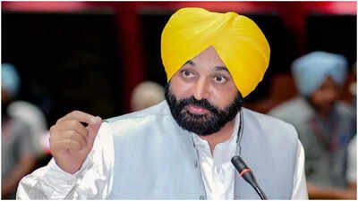 'Fellow MLAs will remain outside': Punjab CM to meet President Murmu over seven AAP RS MPs joining BJP