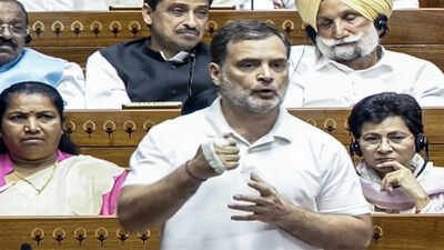 'PM and I don't have wife issue': Rahul Gandhi in Lok Sabha - watch
