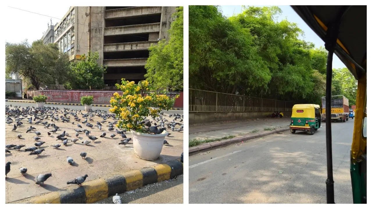 Samsung Galaxy S26+ camera sample