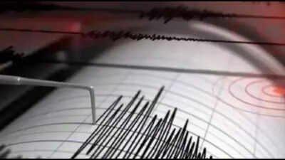 7.4 magnitude earthquake hits Indonesia