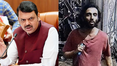 Maharashtra ISIS-inspired attack: 'Suspect had desire to attack Hindus,' CM Fadnavis says