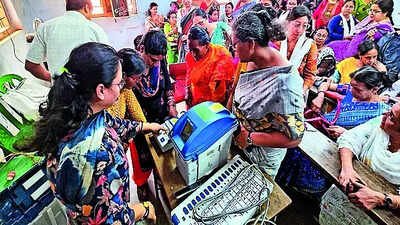 'Why only professors, put judges too on election duty': HC slams EC