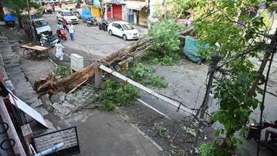 11cm in 1 hour: Deluge could have filled 30,000 pools, two-thirds of Bengaluru’s lakes