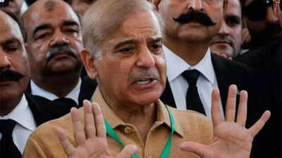 'No strategic oil reserves like India': Pakistan minister admits vulnerability as fuel crisis deepens