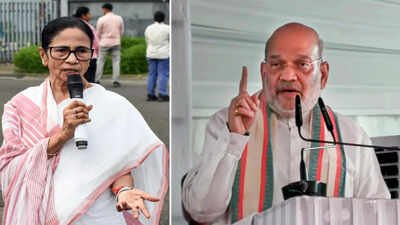 West Bengal polls: Amit Shah's 'bye Didi' & 'Anga, Banga, Kalinga' prophecies come true