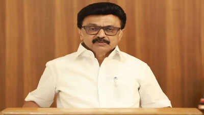 Tamil Nadu verdict: Let Vijay form government, will watch, won’t disturb for 6 months, says MK Stalin