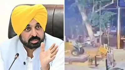 'Attempt to tarnish party image': BJP sends defamation notice to Bhagwant Mann over Punjab blast allegations