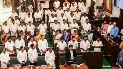 Vijay clears floor test with 144 MLAs backing TVK: How the high-stakes assembly showdown unfolded