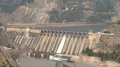 'Illegally constituted': MEA rejects Pakistan-backed Court of Arbitration ruling on Indus Waters Treaty