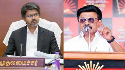 DMK's Stalin takes jibe at Tamil Nadu CM Vijay: 'Became CM by influencing children through Instagram'