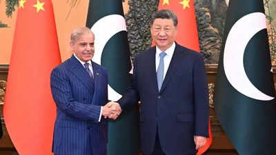 'Integral and inalienable part': India rejects China-Pakistan remarks on J&K; terms CPEC project illegal