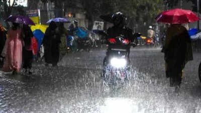 Representative image 60% chance of deficient monsoon as IMD downgrades rain forecast