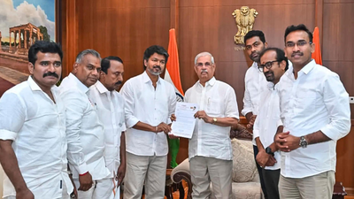 Tamil Nadu government formation: TVK chief Vijay's second bid falls flat again - what governor said