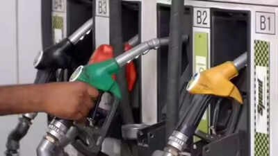 Can't hold fuel losses indefinitely: Officials; crude averages $105 a barrel in May so far