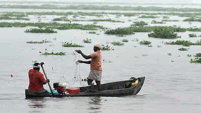 Monsoon may hit Andamans this week: IMD