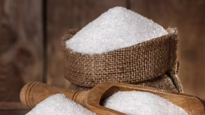 India bans sugar exports until September 2026 amid supply concerns: Report