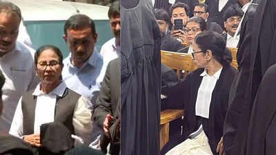 'Bengal is not bulldozer state': Fighting case as lawyer, what Mamata Banerjee said in her 1st appearance in Calcutta HC