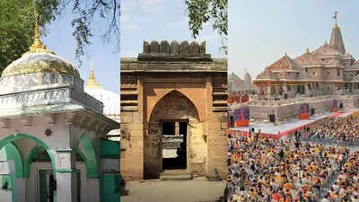Devotees offer prayers at Bhojshala complex; how principles from Ayodhya verdict paved way for temple