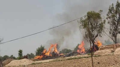 Pakistan Air Force jet crashes during training mission: Reports