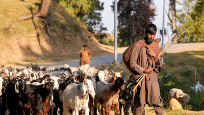 Image credit: PTI Kashmir nomads file ‘atrocity’ complaint after demolition of their houses