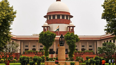 Parents' fear of divorce stigma may be pushing many women into death traps: SC