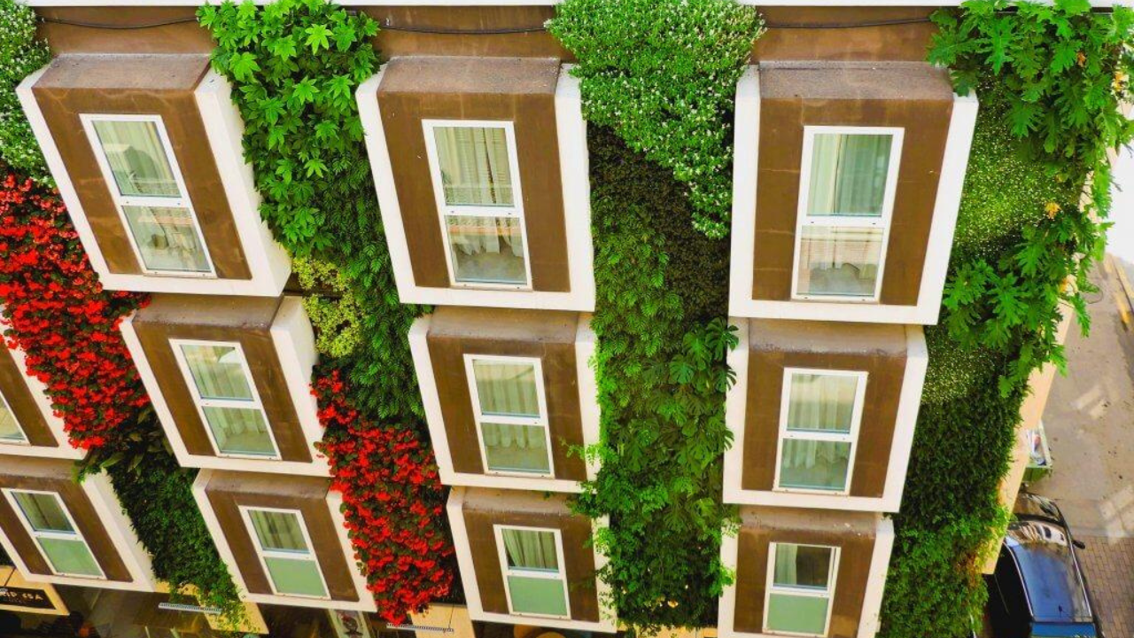 He turns concrete walls into living forests: Meet the Spanish botanist transforming cities with vertical gardens