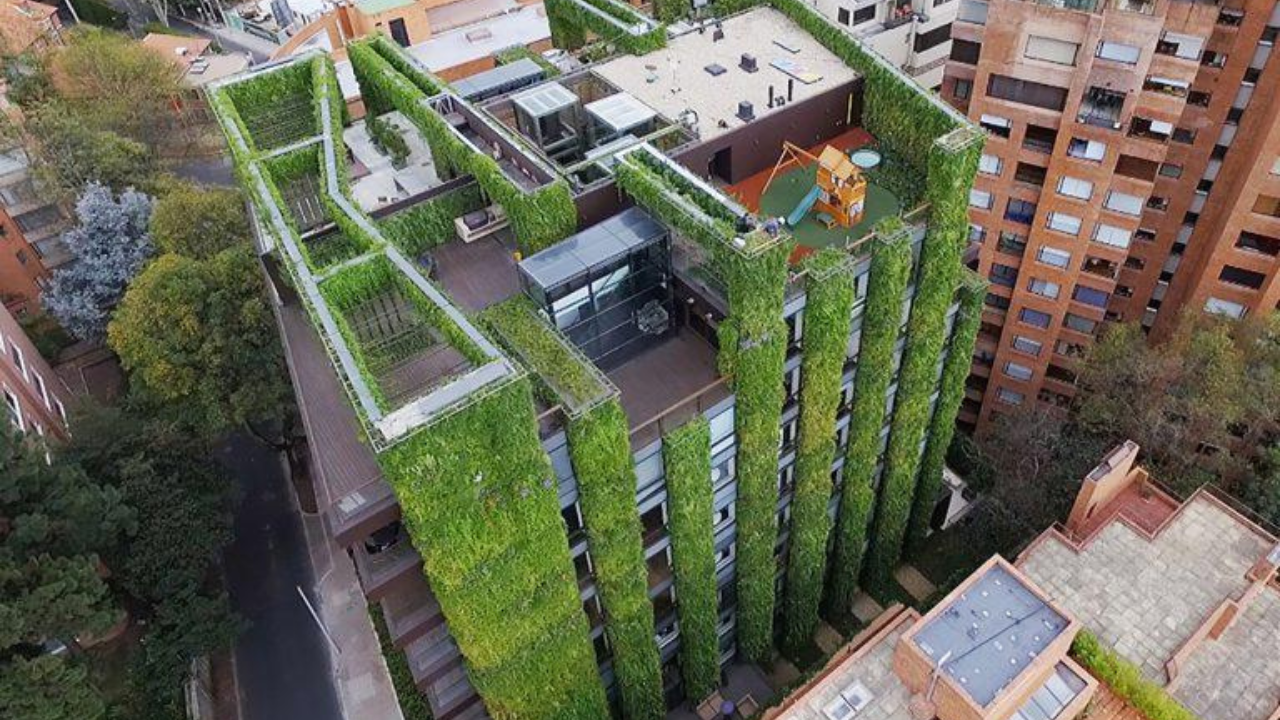 He turns concrete walls into living forests: Meet the Spanish botanist transforming cities with vertical gardens