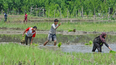 Government braces for a tough sowing season ahead