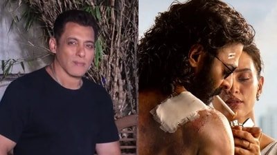 Bollywood vs South clash at the box office (Photos: Instagram)