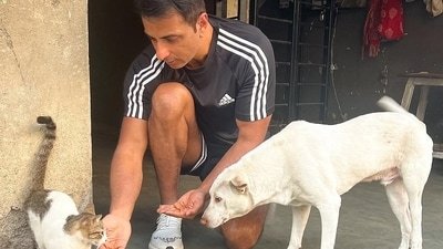 Sonu Sood urges animal lovers to speak up for street dogs and their safety. Sonu Sood urges animal lovers to speak up for street dogs and their safety.