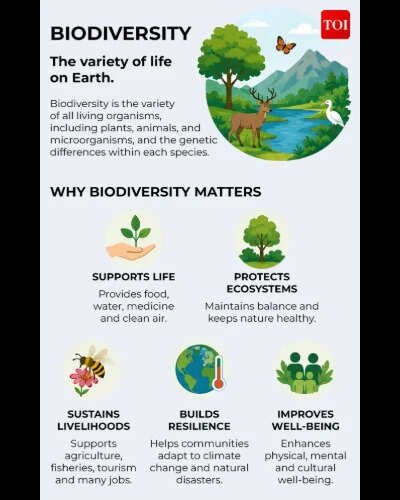 Biodiversity