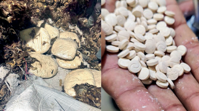 Captagon, drug used by IS operatives, seized in Delhi; Syrian held