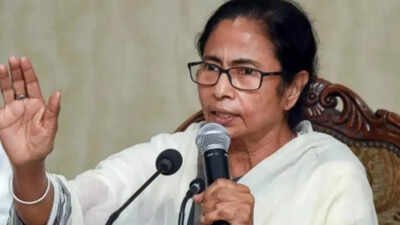 'Market manipulation attempt': Mamata Banerjee trashes Bengal exit polls, predicts over 200 seats for TMC