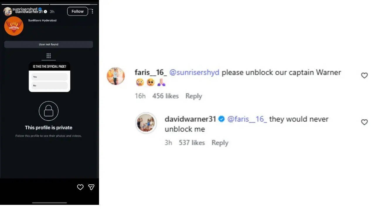 David Warner's Instagram reply