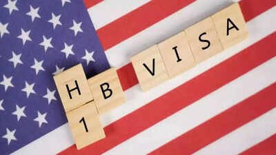 H-1B visa 'crisis': Are Indians taking over US? What numbers say