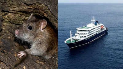 Hantavirus outbreak: WHO warns 12 countries after South Atlantic cruise ship confirmed cases; raising global travel health concerns