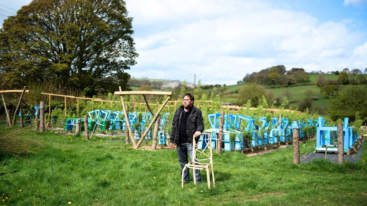 How a UK couple grows chair from living trees