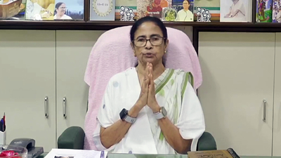 'When you fall from power in Delhi ...': Mamata accuses BJP of 'state terrorism', invokes Constitution
