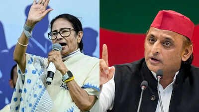 Post-TMC rout, I-PAC’s deal with SP for 2027 polls hangs in balance