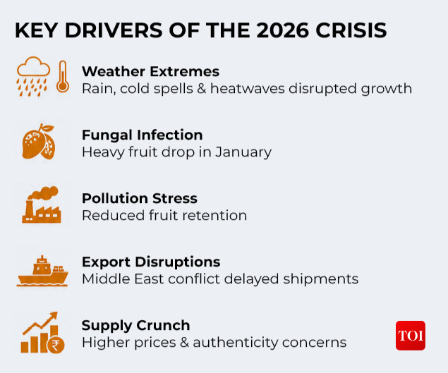 Key drivers of Alphonso crisis